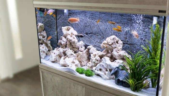 How To Install an Aquarium Filter